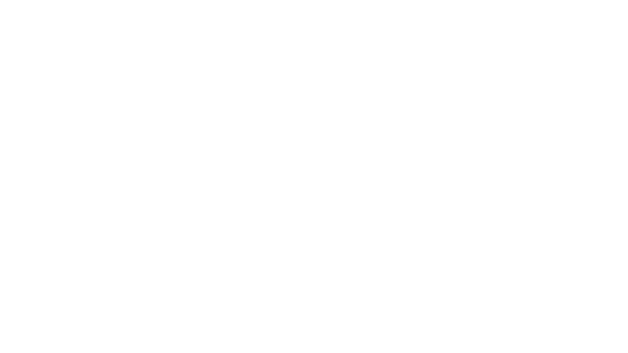 Carrier d.o.o. logo